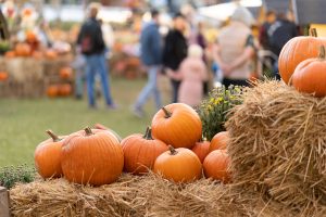 Pumpkins stacked on straw bales, against the background of people strolling through an agricultural fair where the autumn harvest is sold. Shallow depth of field, blurry background.
